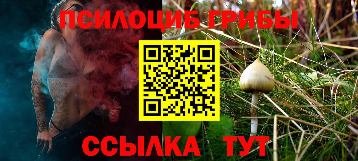Псилоцибиновые грибы Psilocybe Котельники
